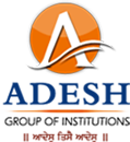 Adesh University