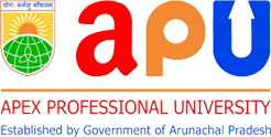 Apex Professional University