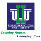 Indus International University